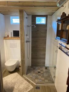 a bathroom with a shower and a toilet at Berghütte Waldheimat in Ratten