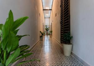 an empty hallway with potted plants in a building at The Garden Suites in Santa Marta