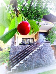 un tomate rojo colgando de un árbol delante de una casa en Grandma's apartment en Velika