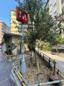 The building in which a panziókat is located Még 32 kép