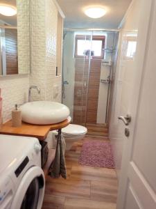 W łazience znajduje się umywalka, toaleta i prysznic. w obiekcie Grandma's apartment w mieście Velika
