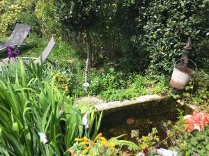 un jardín con un estanque con flores y una fuente en La maison d' Elizabeth, en Lagrasse