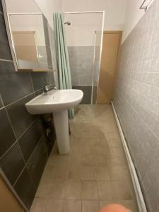 een badkamer met een wastafel en een douche bij Chez Cathy et Alain in Saint-Laurent-dʼAigouze