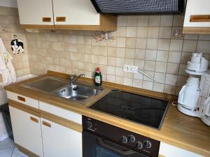 cocina con fregadero y fogones en Schwarzwald - Gemuetliches 2 Zimmer Apartment! en Dunningen