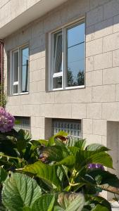 un edificio con dos ventanas y plantas delante de él en Camiño da Praia, en Redondela