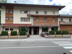 a building with potted plants in front of a street at Hotel Bel Sit in Valle di Cadore