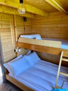 two beds in a sauna with wooden walls at Ytri Vík in Hauganes