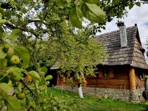 a log cabin with a tree in front of it at Jabłoniowa Chatka in Kalwaria Pacławska