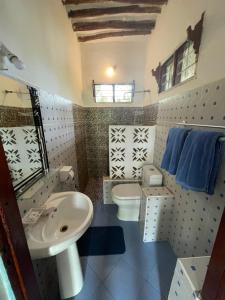 un bagno con lavandino e WC di Botanica Eco Lodge a Michamvi Kae