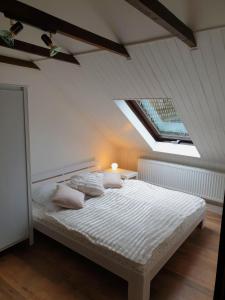 1 dormitorio con 1 cama blanca y tragaluz en Saechsische-Schweiz-Ferienhaus-Wohnung-1-mit-Elbblick-Sauna-und-Kamin, en Königstein