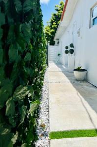 a ivy covered wall next to a white building at Blue Eyes in Miami