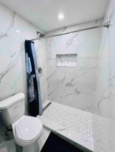 uma casa de banho branca com um WC e um chuveiro em Blue Eyes em Miami