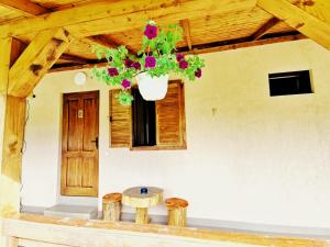 una habitación con una mesa y una planta colgante en Casa Borcean 2, en Sasca Montană