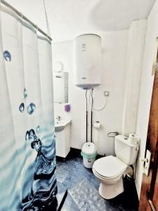 a bathroom with a toilet and a sink at Casa Borcean 2 in Sasca Montană