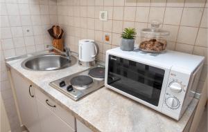 Kuchyňa alebo kuchynka v ubytovaní 1 Bedroom Nice Apartment In Podstrana