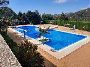 a large swimming pool with a palm tree next to it at Estudio Regency Alcaidesa in La Alcaidesa