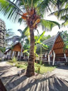 a palm tree in front of a building at Follow The Rabbit Bungalow in Gili Air