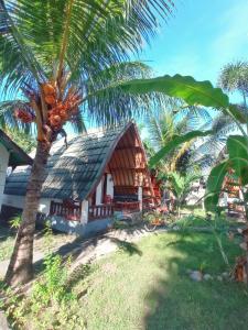 龍目島的住宿－Follow The Rabbit Bungalow，海滩上一棵棕榈树的房子
