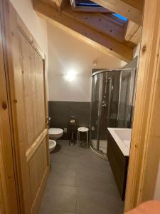 a bathroom with a shower and a toilet and a sink at Ai Suma Residence in Bormio