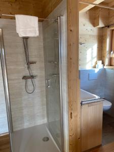 um chuveiro com uma porta de vidro na casa de banho em Skihütte em Lachtal
