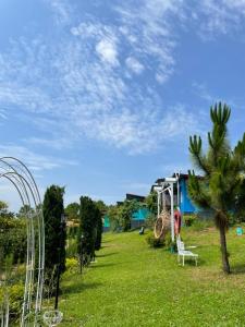 a garden with a palm tree and a swing at A&Bมิราเคิลเขาค้อ in Ban Nong Rang Chang