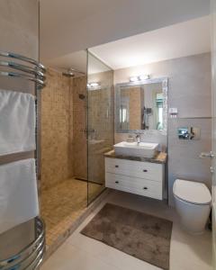 La salle de bains est pourvue d'une douche, de toilettes et d'un lavabo. dans l'établissement Saphir Stein Residence Apartment 19th, à Bucarest