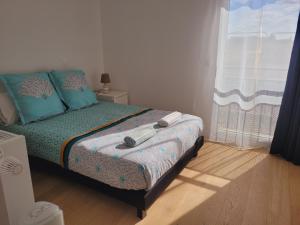 ein Schlafzimmer mit einem Bett mit blauen Kissen und einem Fenster in der Unterkunft Chez Patron T3 2BR with 2 parking near Disneyland Paris & train station-Chessy in Chessy