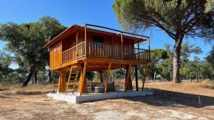 una casa sull'albero seduta in un campo vicino a un albero di Suspended Wooden House - Monte da Cortiça a Águas de Moura