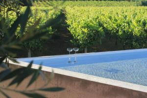 Der Swimmingpool an oder in der Nähe von Vinha by NHôme