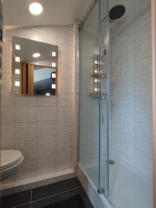 a bathroom with a shower and a toilet and a mirror at B&B Hotel Elselina in Schiedam