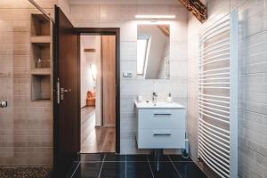 uma casa de banho com um lavatório e um espelho em Villa u Arény em Ostrava