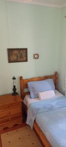 1 Schlafzimmer mit 2 Einzelbetten und einem Nachttisch in der Unterkunft Kanitsis House in Drymon