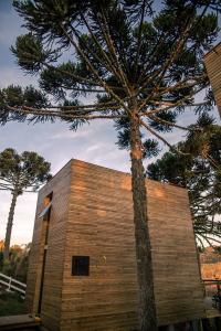 a pine tree in front of a building at Rancho Denver in Urubici