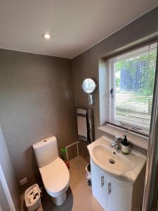a bathroom with a toilet and a sink at A modern annex, in a tranquil countryside setting. in Aylesbury