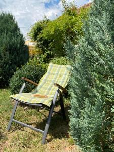 une chaise assise au milieu de quelques buissons dans l'établissement Casa Viki, 