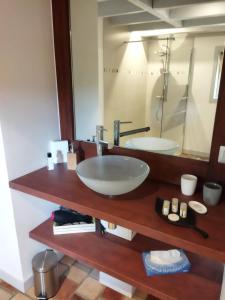 a bathroom with a sink and a mirror at La ferme du vincent in Liergues