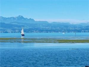 a sailboat in the middle of a large body of water at Adam & Eva Gasthof Paradies mit Hotel in Vogt +93 photos