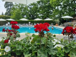 a group of red flowers in front of a pool at Great Fosters - Near Windsor in Egham