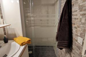 a bathroom with a shower and a sink and a toilet at Grand appartement en RDC Vallée de Campan in Campan