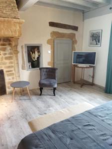 a living room with a fireplace and a television at La ferme du vincent in Liergues