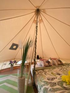 1 dormitorio con 1 tienda de campaña y 1 cama en Camping Perla en Zadar