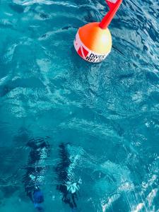 Utende的住宿－Dive Planet Mafia Island，海水中有一个橙色浮标的游泳池