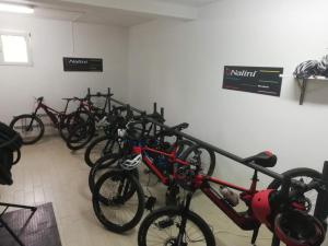 Jízda na kole v ubytování Hotel Tirrena Bike & Country Hotel nebo okolí