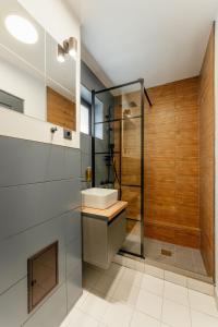 y baño con lavabo y ducha. en Krest relaxing heights, en Vatra Dornei