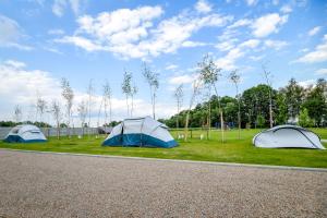 zwei Zelte auf dem Rasen neben einem See in der Unterkunft KempingZator Namioty in Zator
