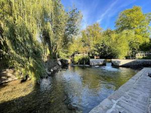 un río en un parque con árboles y agua en LES PIEDS DANS L’EAU - MORET CENTRE, en Moret-sur-Loing