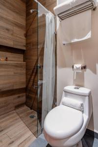 a bathroom with a toilet and a shower at Youssef Exceptionnel Merida in Mérida