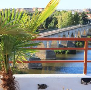 Imagen de la galería de A los Ojos del Río Duero, en Zamora