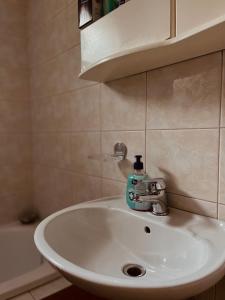 a bathroom sink with a bottle of soap on it at Eleni Apartments in Gevgelija