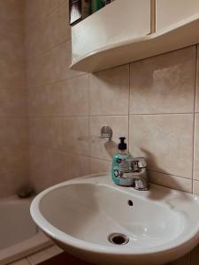 un lavabo con una botella de jabón. en Eleni Apartments, en Gevgelija
